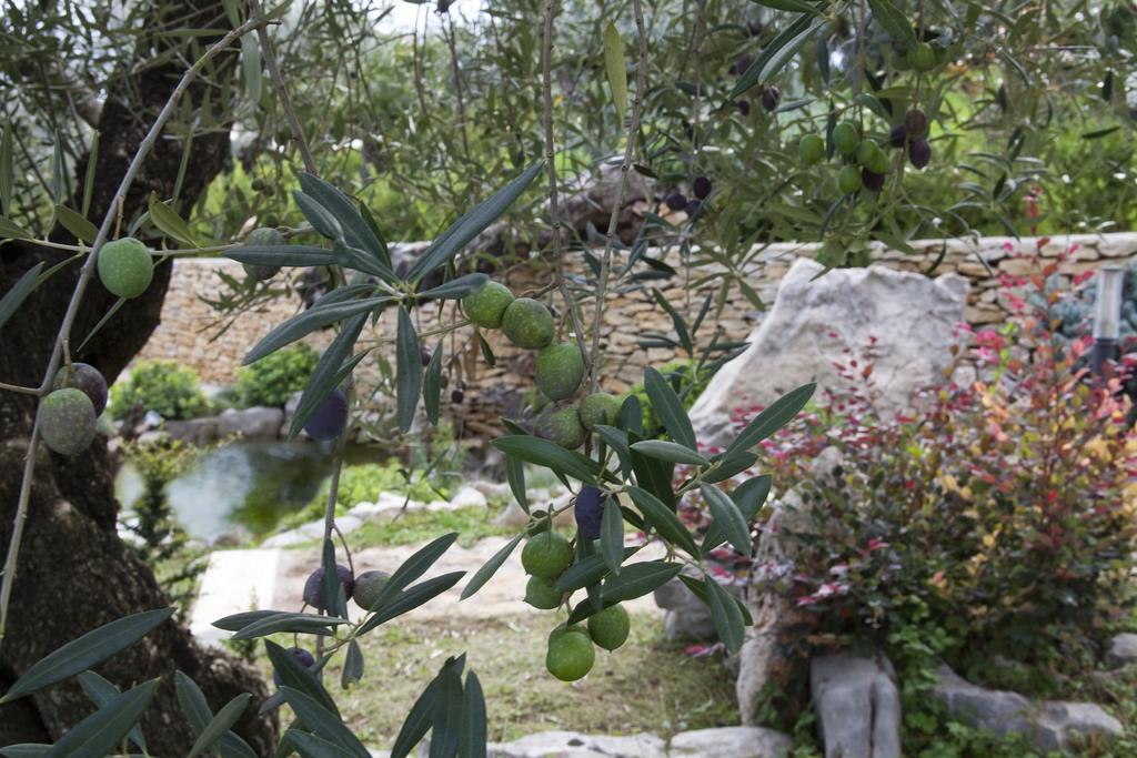 Albergo Ristorante Uliveto Veroli Εξωτερικό φωτογραφία